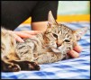 Bild (1)7
